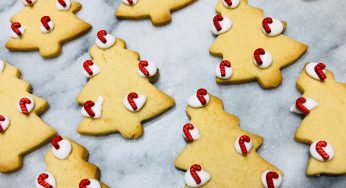 Biscuits au sucre