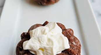 Gâteau forêt noire (rapide)