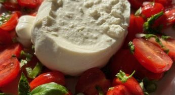 Burrata et tomates